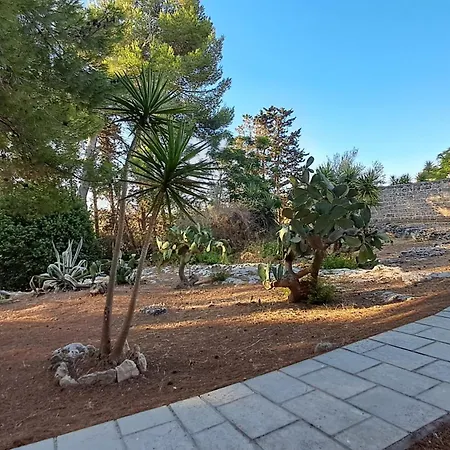 Masseria Artemisia לינה וארוחת בוקר