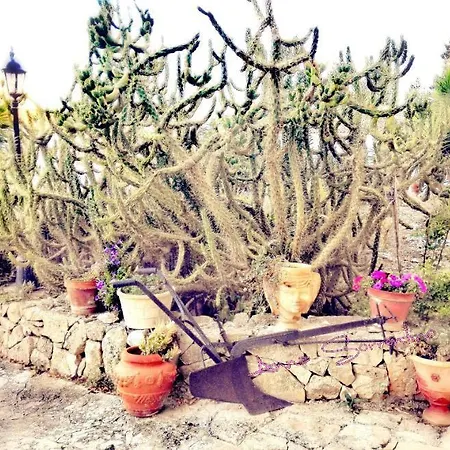 Masseria Artemisia Bed & Breakfast Torre San Giovanni Ugento